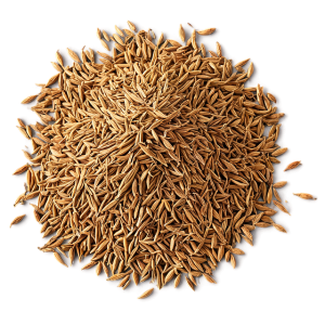 Jeera